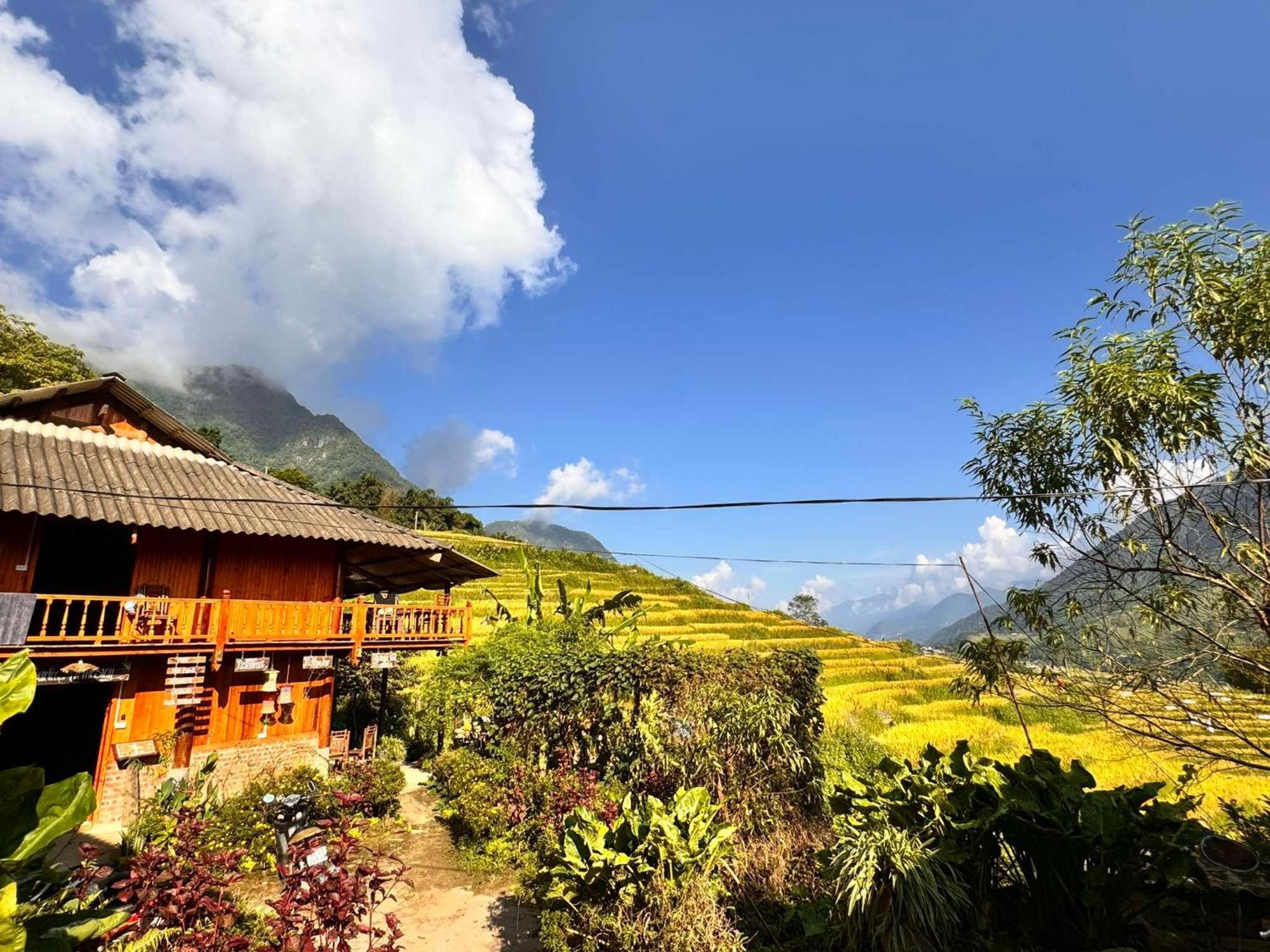 Surelee Homestay Sapa Eksteriør billede